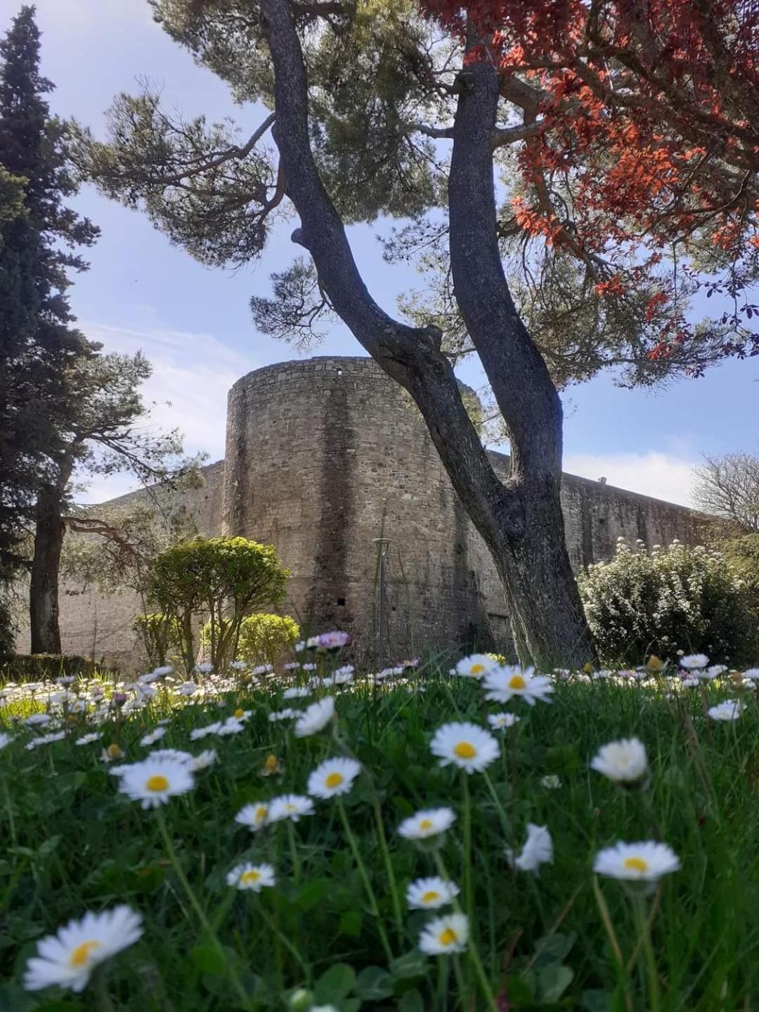 Ferienwohnung Fronte Duomo Ariano Irpino Exterior foto